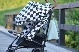 PODRÓŻE Z ELODIE DETAILS