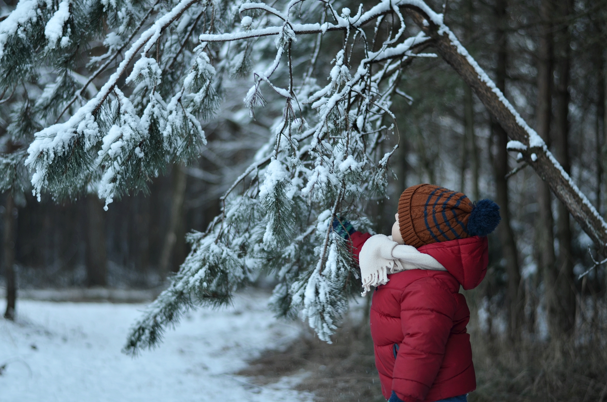 PODSUMOWANIE ROKU 2017