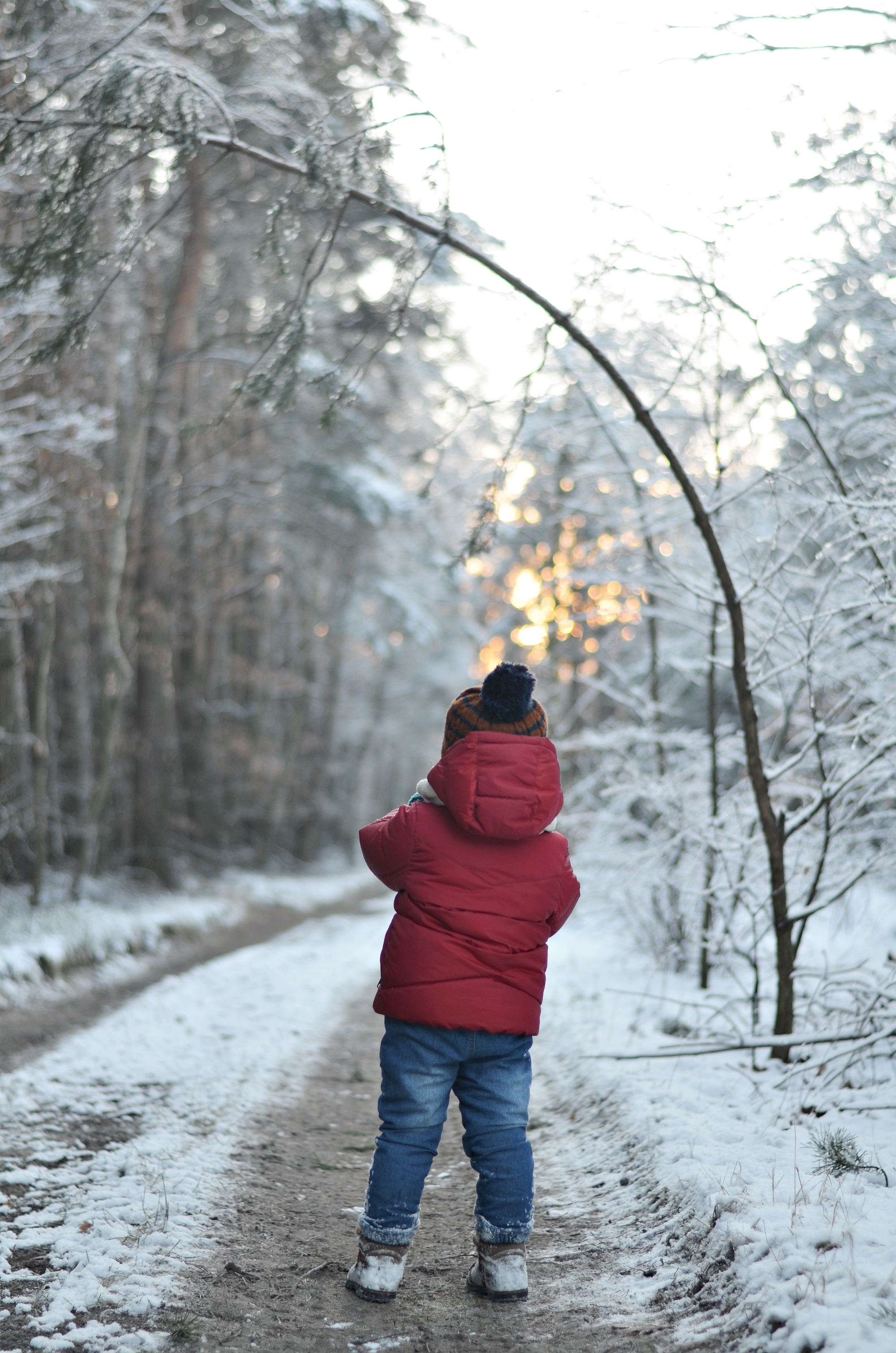 PODSUMOWANIE ROKU 2017