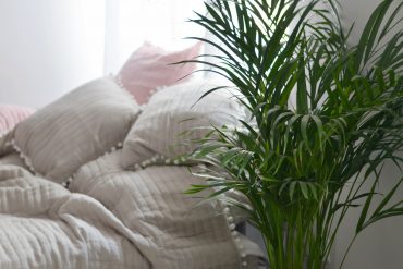 salon i sypialnia w jednym