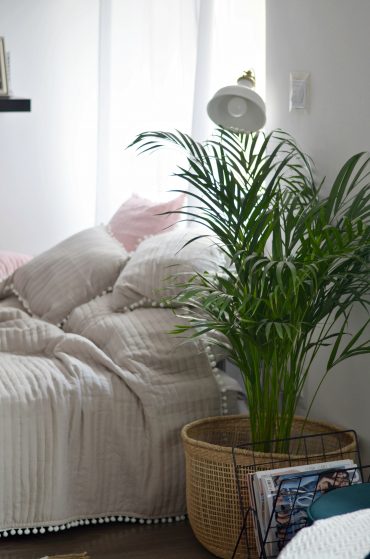 salon i sypialnia w jednym