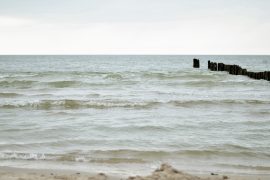 PLANY NA WAKACJE, KTÓRE MUSZĄ POCZEKAĆ ...