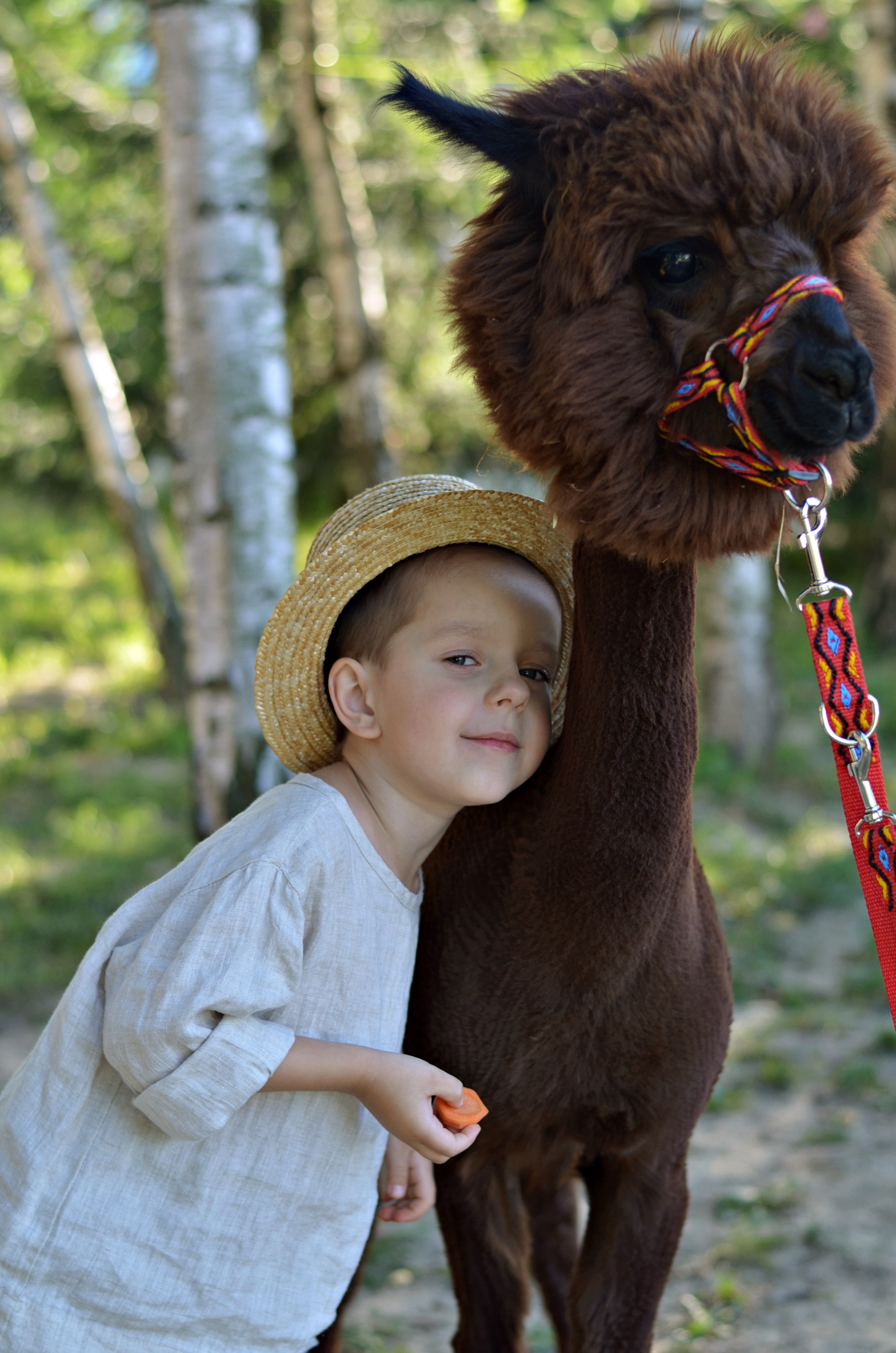 alpaki i dzieci