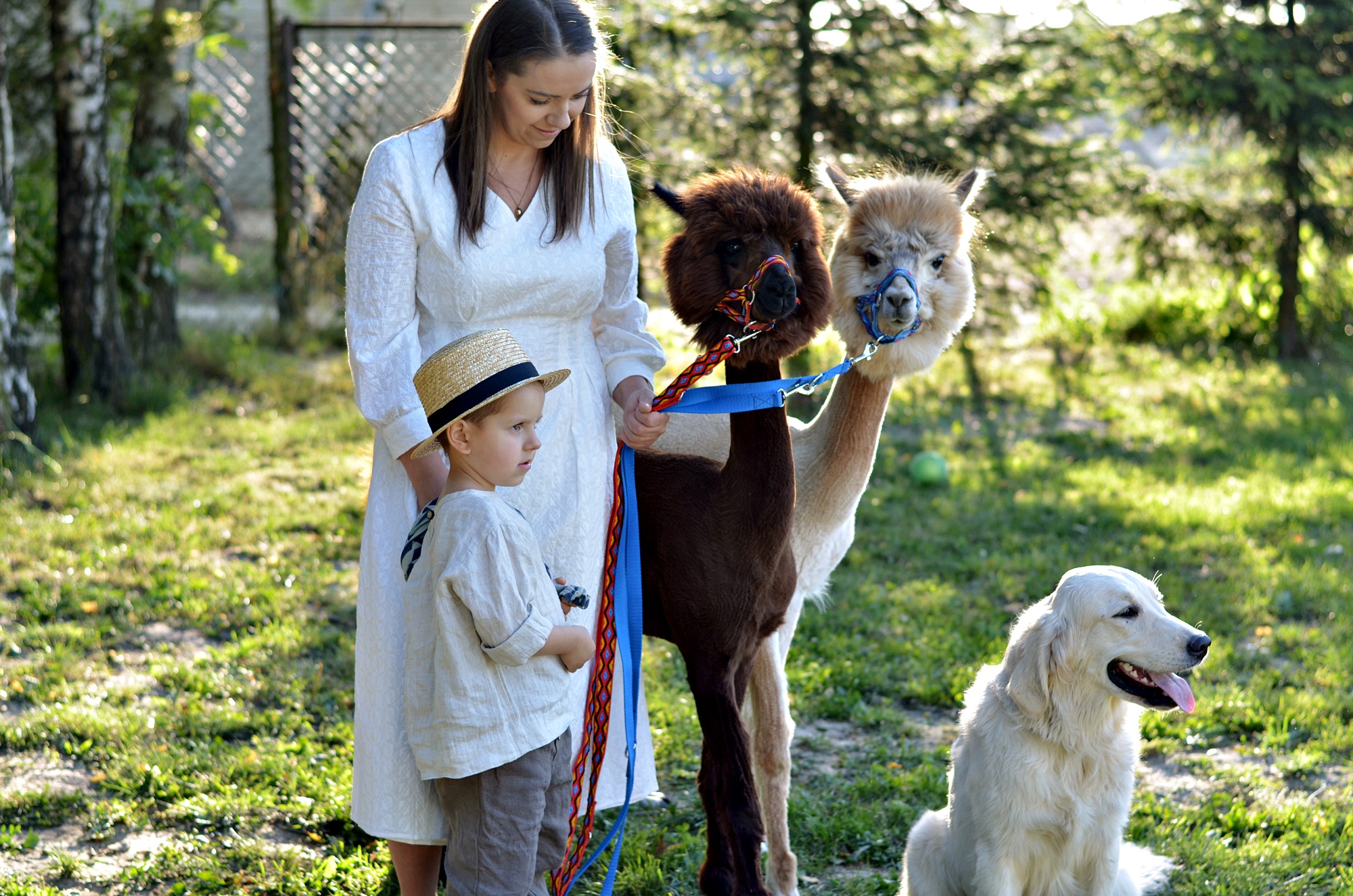  NASZE WSPÓLNE I NIEZAPOMNIANE CHWILE Z ALPAKAMI