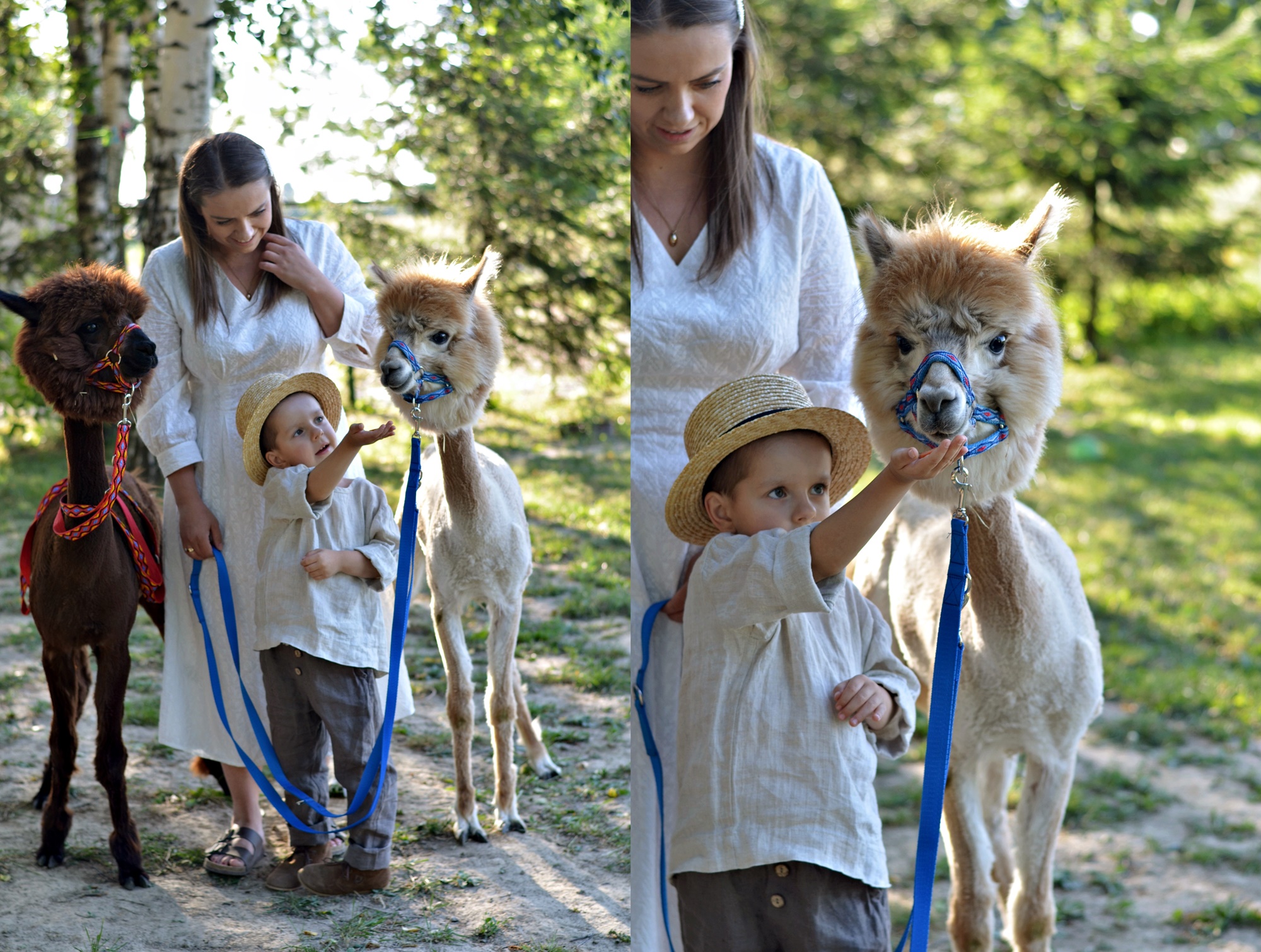 ALPAKI I NASZE WSPÓLNE CHWILE