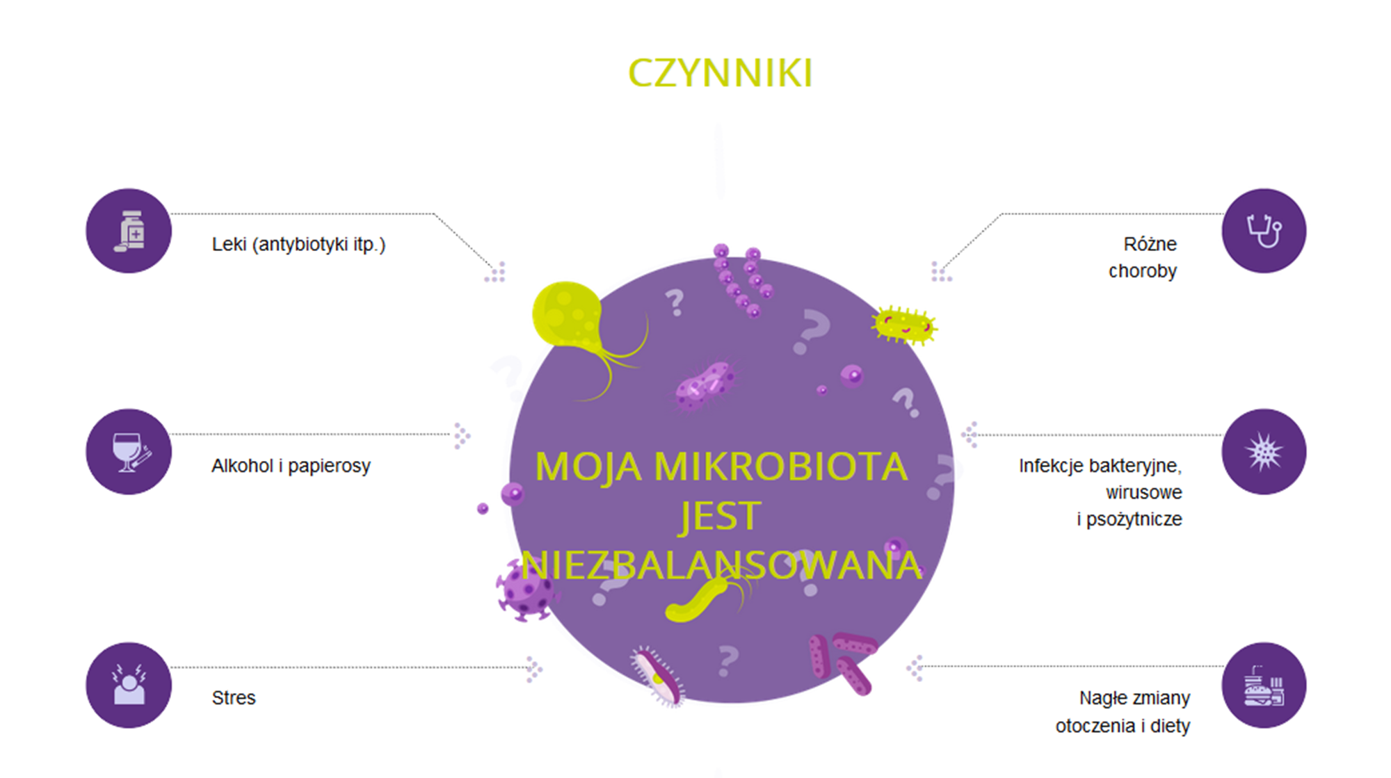 mikrobiota mikrobiota czynniki
