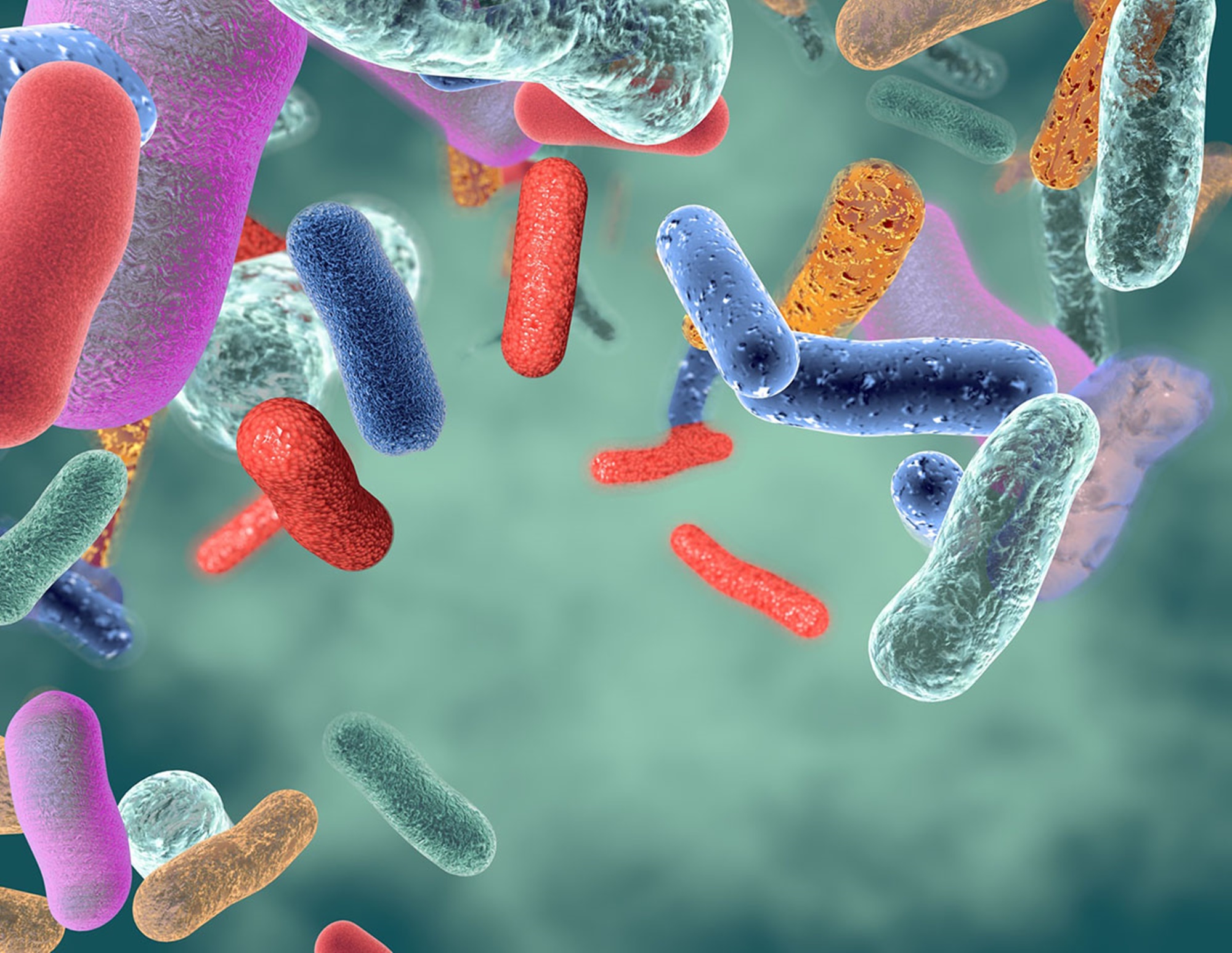 mikrobiota