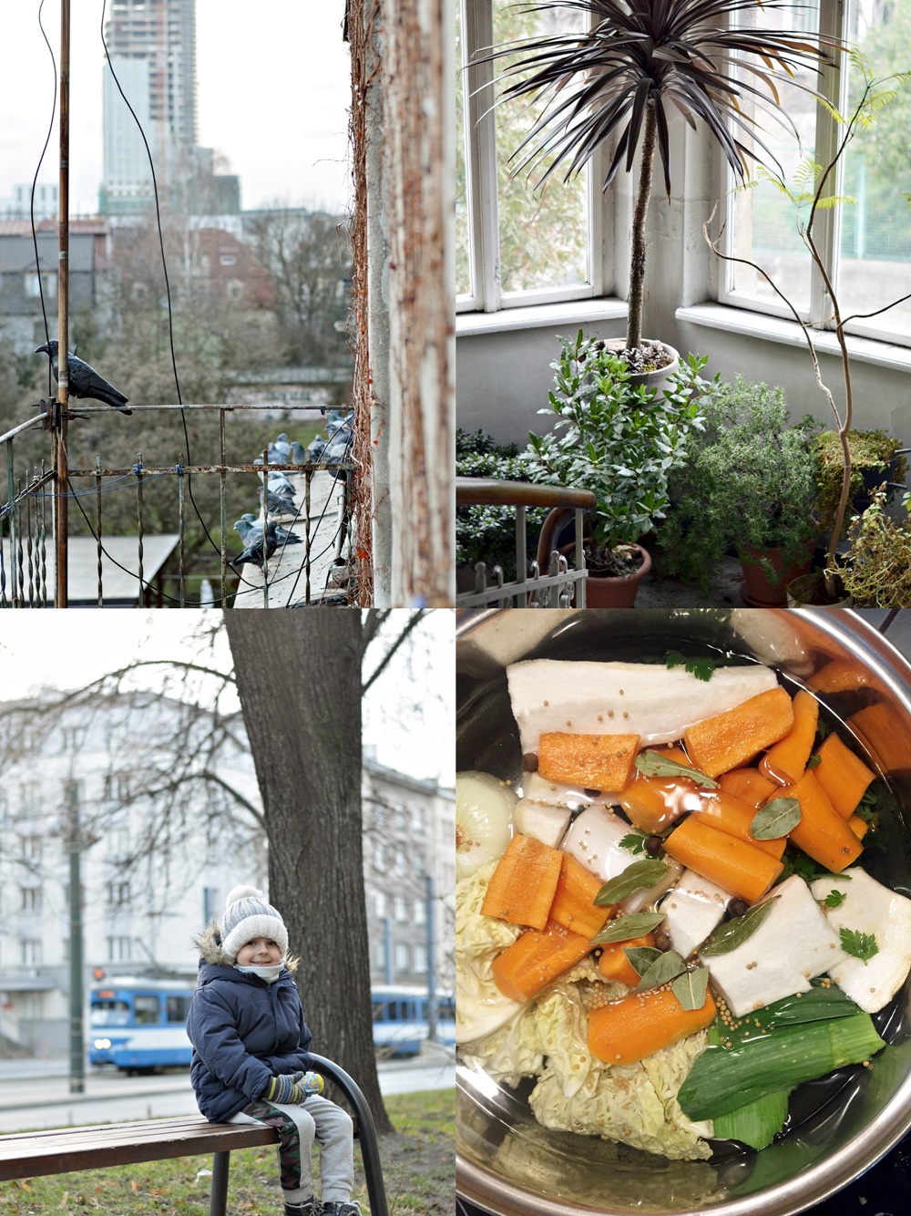 miesiąc styczeń 2020