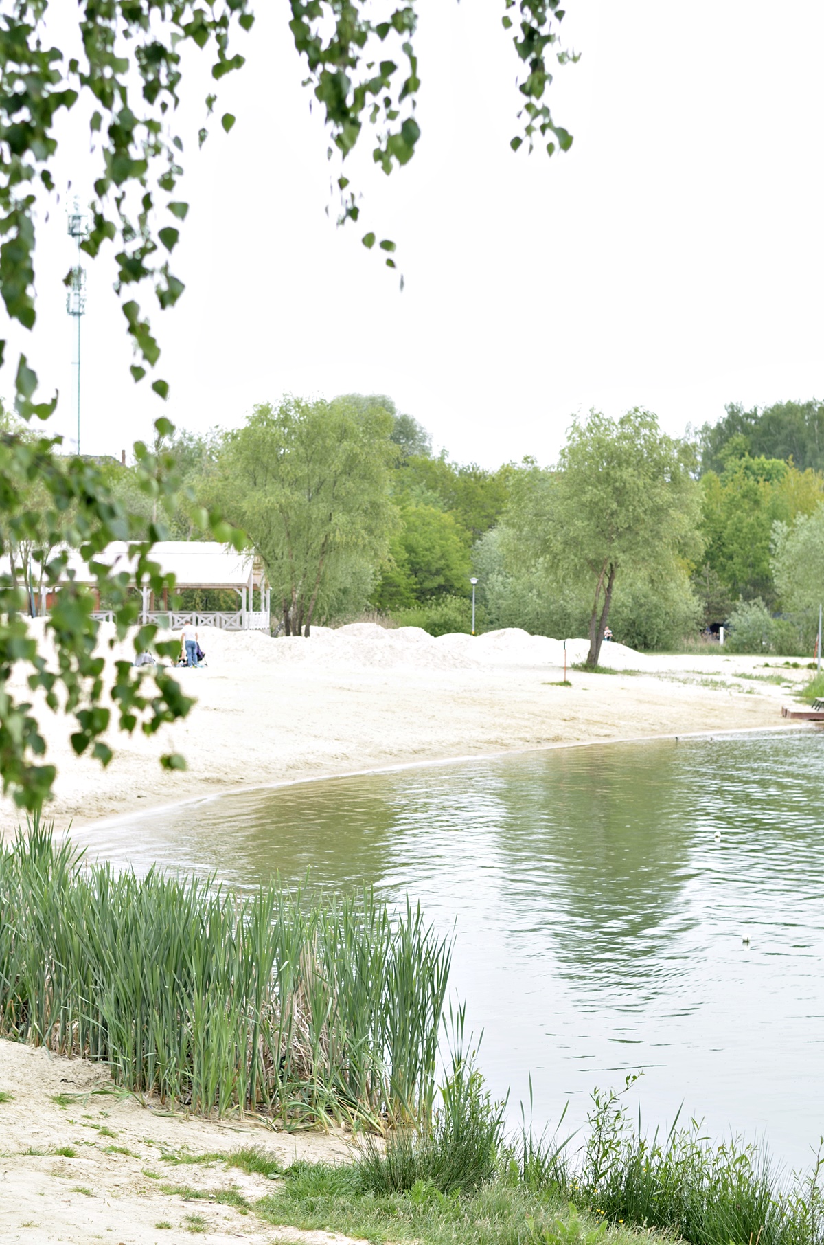 zalew kryspinów