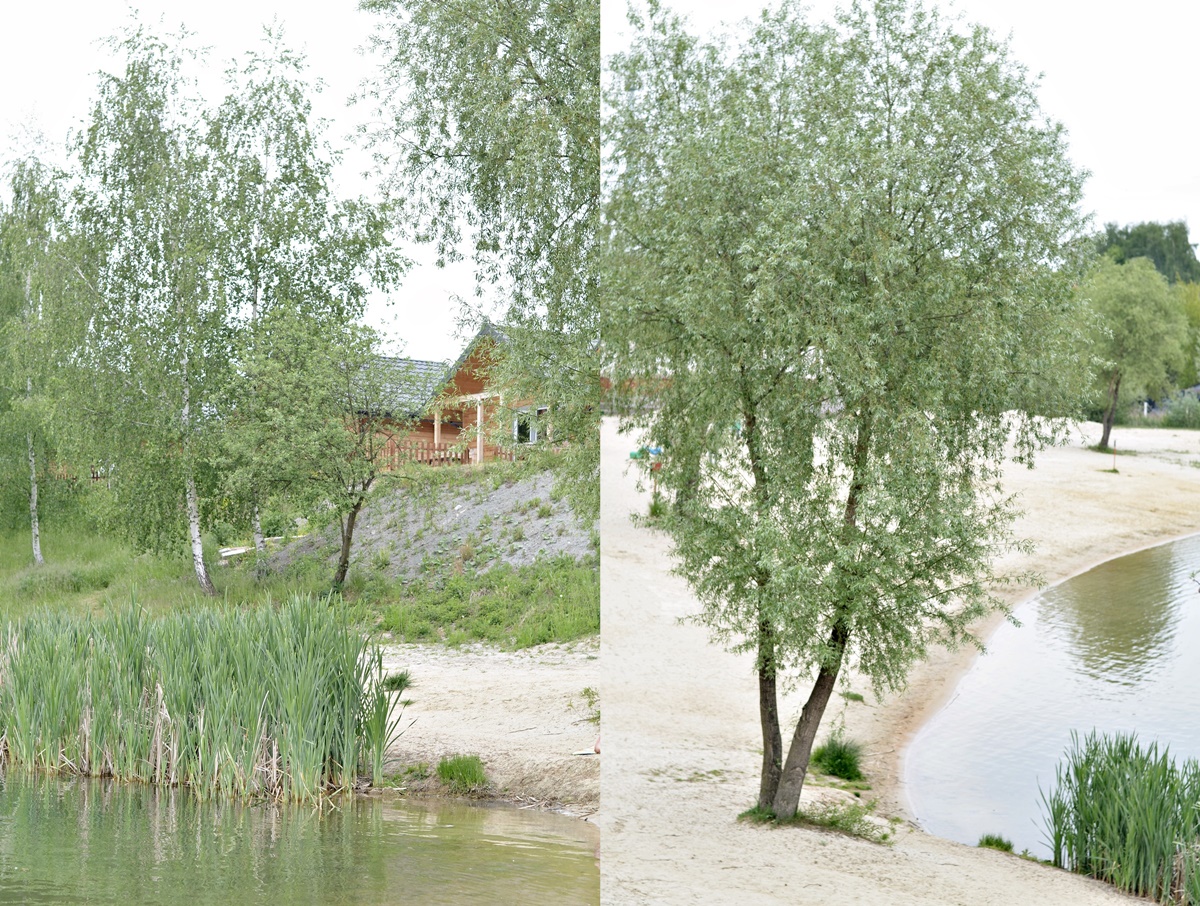 domki letniskowe Kryspinów