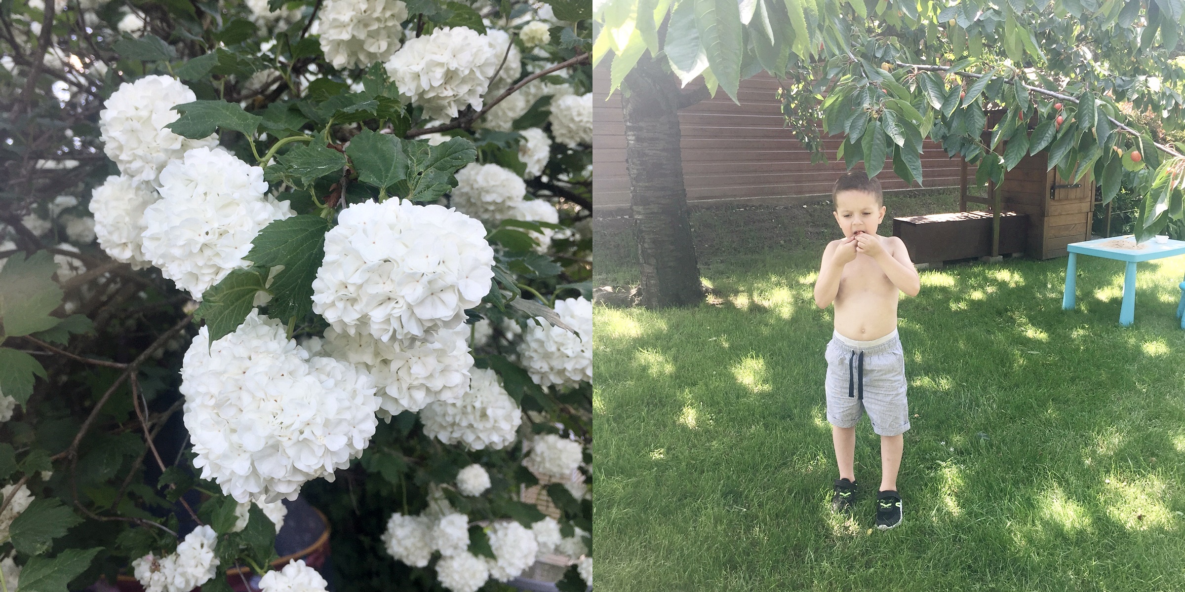 podsumowanie czerwca