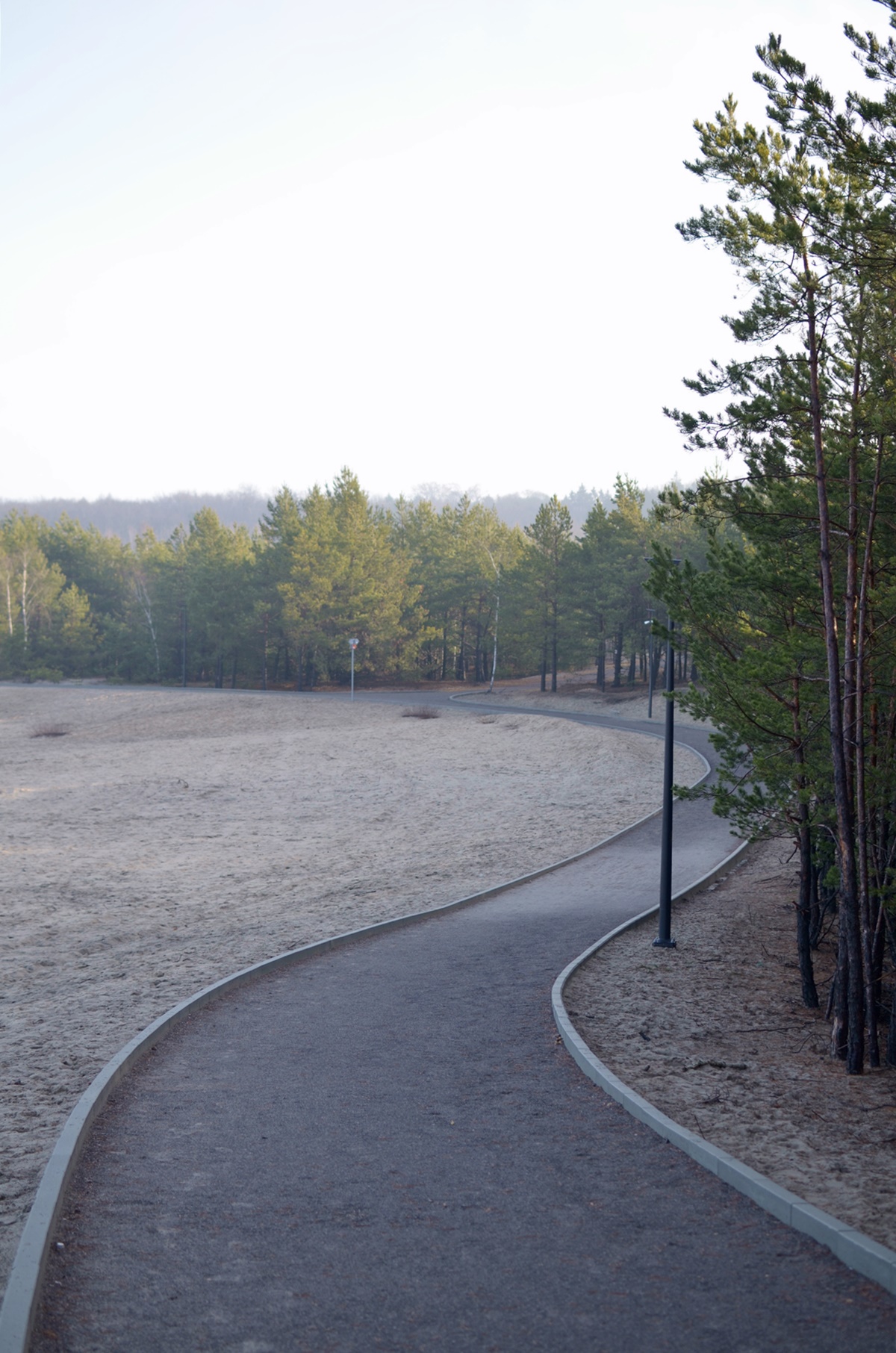 Pustynia Błędowska