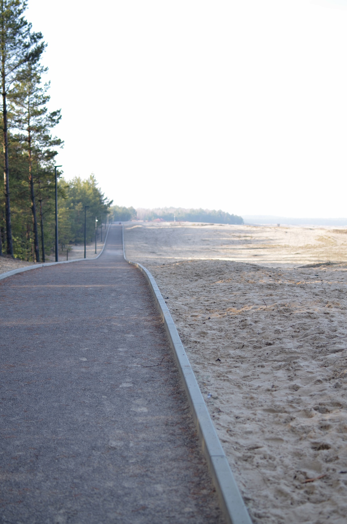 Pustynia Błędowska