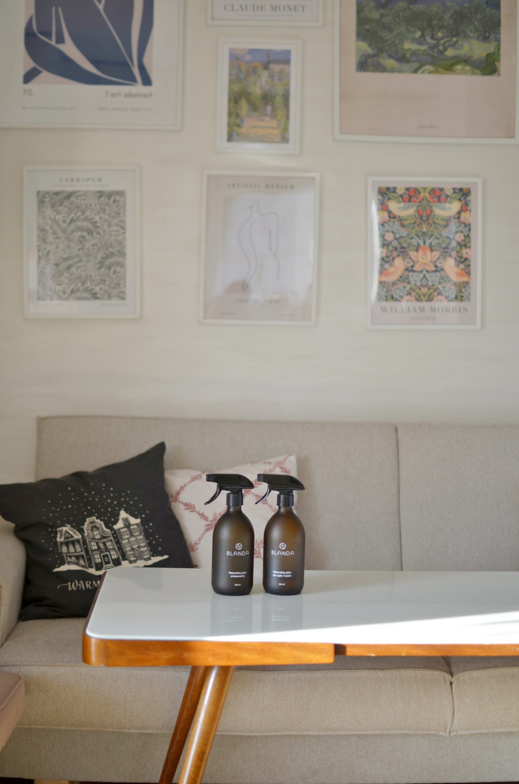 BLANDA EKOLOGICZNE ŚRODKI CZYSTOŚCI