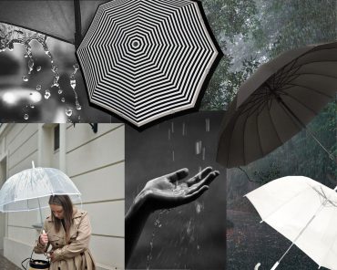 ORYGINALNE PARASOLE
